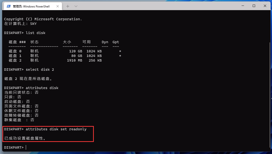 attributes disk set readonly